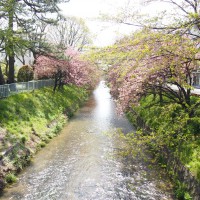 筋トレとして割り切った話