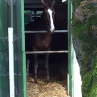 馬事公苑に行ってきた　〜桜新町だより〜