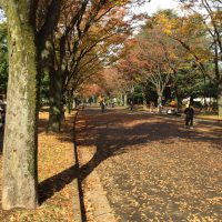 masakuroyの「孤独論」、あと最近ハマっている音楽５選〜いま　ここ　しあわせ〜