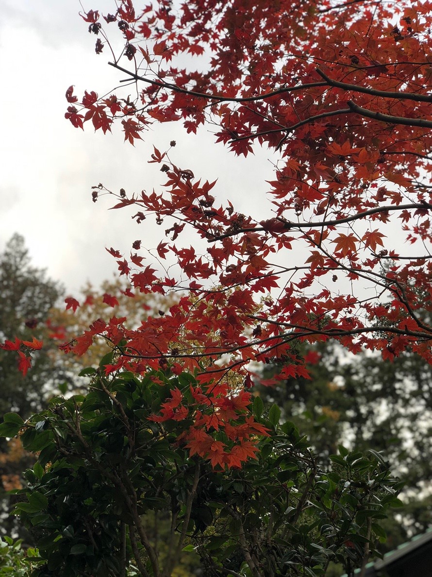 そうだ、箱根行こう